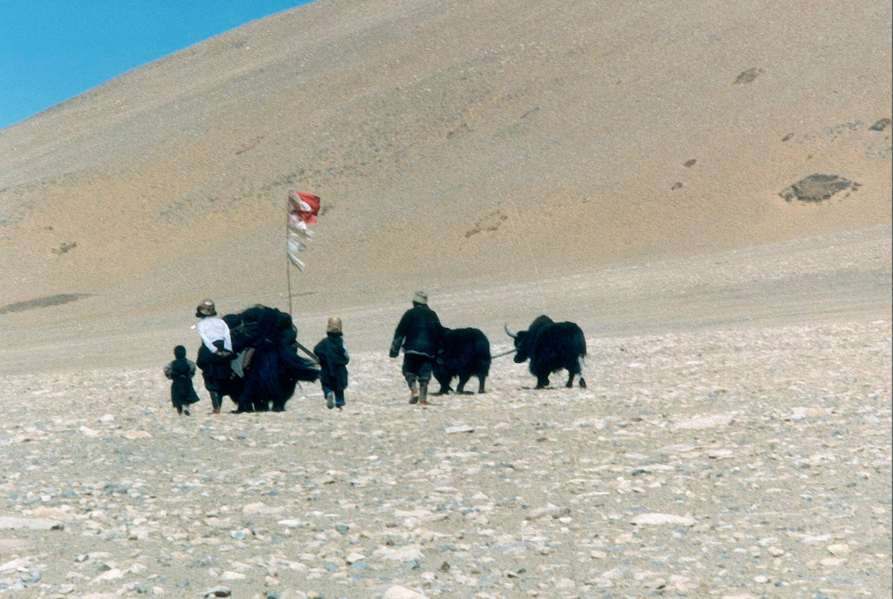 A Tibetan family with yaks and a prayer flag crossing the high plateau